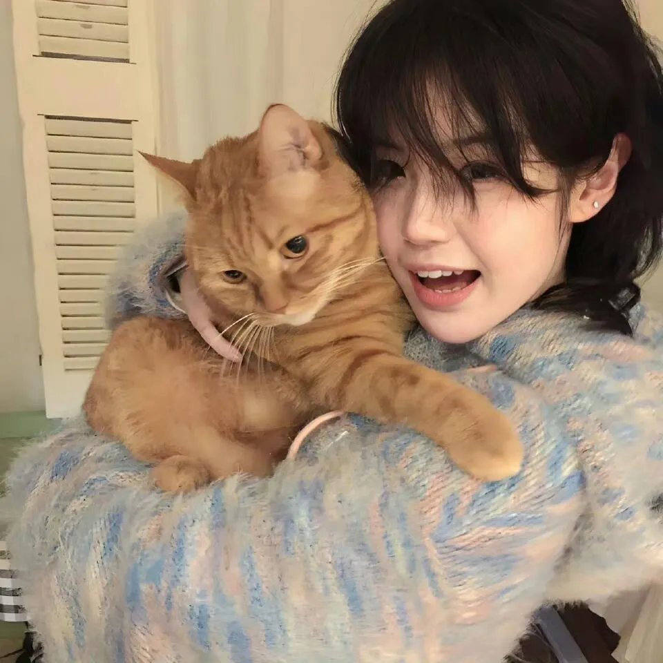 我的大明星老婆